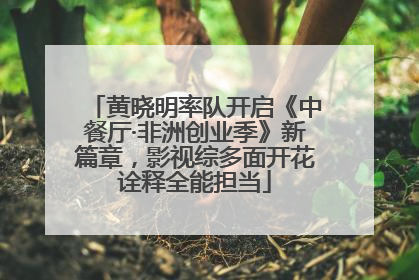 黄晓明率队开启《中餐厅·非洲创业季》新篇章，影视综多面开花诠释全能担当