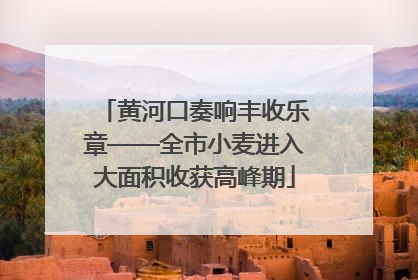 黄河口奏响丰收乐章——全市小麦进入大面积收获高峰期