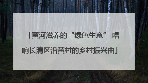 黄河滋养的“绿色生意” 唱响长清区沿黄村的乡村振兴曲