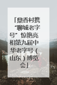 鼎香村携“聊城老字号”惊艳亮相第九届中华老字号（山东）博览会