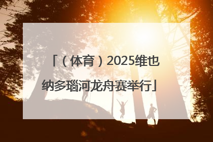 （体育）2025维也纳多瑙河龙舟赛举行