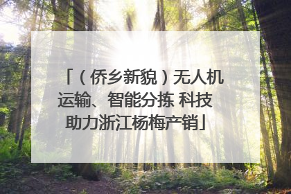 （侨乡新貌）无人机运输、智能分拣 科技助力浙江杨梅产销