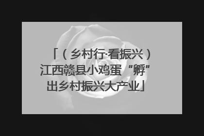（乡村行·看振兴）江西赣县小鸡蛋“孵”出乡村振兴大产业