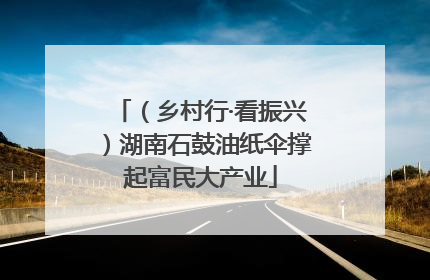 （乡村行·看振兴）湖南石鼓油纸伞撑起富民大产业