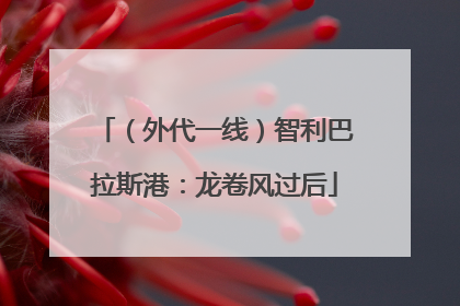 （外代一线）智利巴拉斯港：龙卷风过后