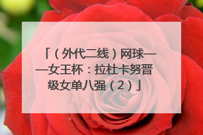 （外代二线）网球——女王杯：拉杜卡努晋级女单八强（2）