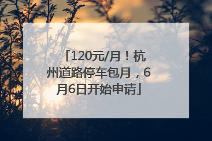 120元/月！杭州道路停车包月，6月6日开始申请