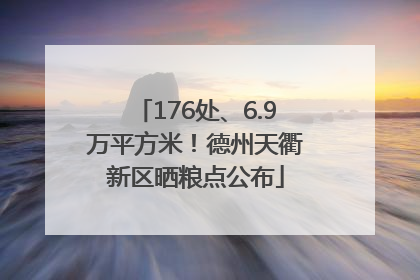 176处、6.9万平方米！德州天衢新区晒粮点公布