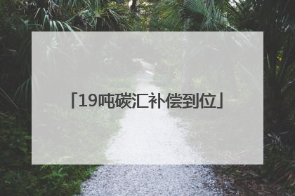 19吨碳汇补偿到位