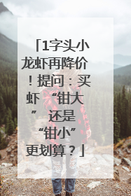 1字头小龙虾再降价！提问：买虾 “钳大” 还是 “钳小” 更划算？