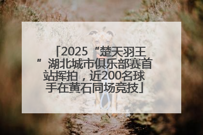 2025“楚天羽王”湖北城市俱乐部赛首站挥拍，近200名球手在黄石同场竞技