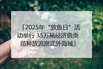 2025年“放鱼日”活动举行 35万尾经济鱼类苗种放流崇武外海域