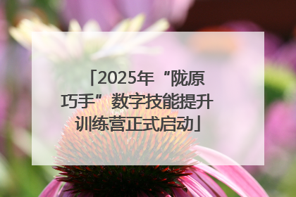 2025年“陇原巧手”数字技能提升训练营正式启动
