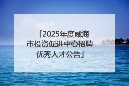 2025年度威海市投资促进中心招聘优秀人才公告