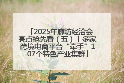 2025年廊坊经洽会亮点抢先看（五）丨多家跨境电商平台“牵手”107个特色产业集群