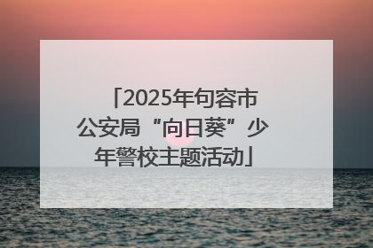 2025年句容市公安局“向日葵”少年警校主题活动