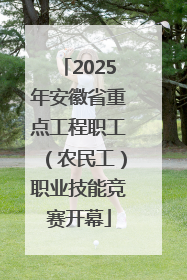 2025年安徽省重点工程职工（农民工）职业技能竞赛开幕