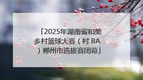 2025年湖南省和美乡村篮球大赛（村 BA）郴州市选拔赛闭幕