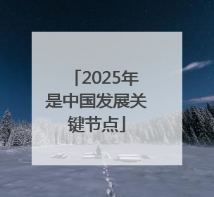 2025年是中国发展关键节点