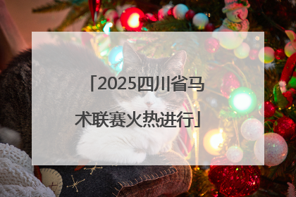2025四川省马术联赛火热进行