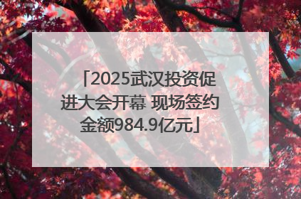 2025武汉投资促进大会开幕 现场签约金额984.9亿元