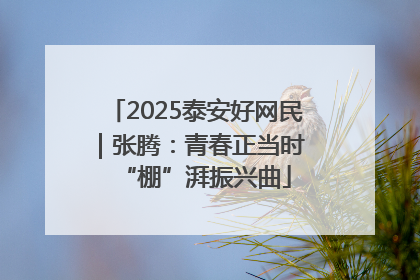 2025泰安好网民｜张腾：青春正当时 “棚”湃振兴曲