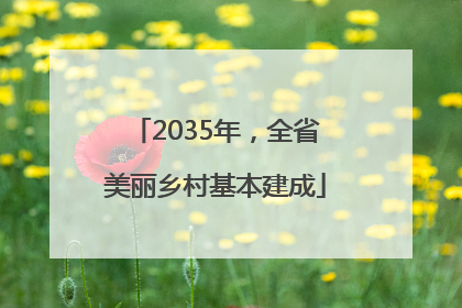 2035年，全省美丽乡村基本建成