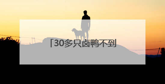 30多只卤鸭不到半小时就抢空，当酒店外摆摆到产业园，上班族很“买账”