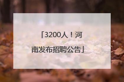 3200人！河南发布招聘公告