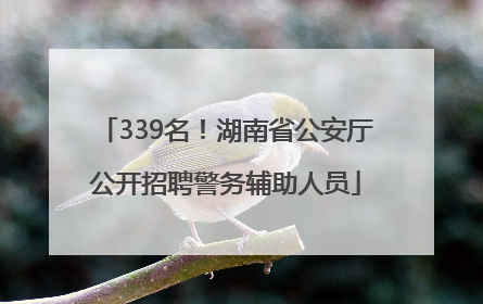 339名！湖南省公安厅公开招聘警务辅助人员