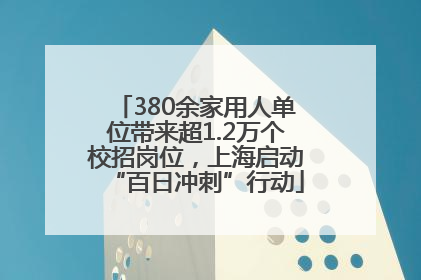 380余家用人单位带来超1.2万个校招岗位，上海启动“百日冲刺”行动