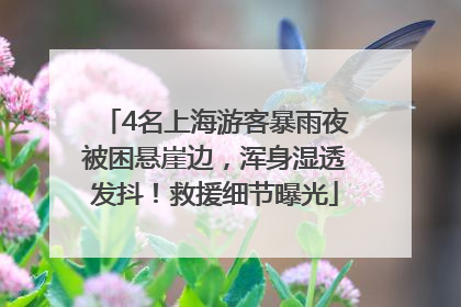 4名上海游客暴雨夜被困悬崖边，浑身湿透发抖！救援细节曝光