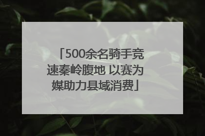 500余名骑手竞速秦岭腹地 以赛为媒助力县域消费