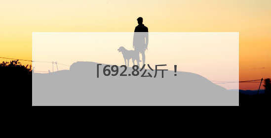 692.8公斤！宿城区小麦百亩示范方平均亩产创新高
