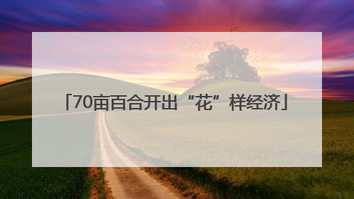 70亩百合开出“花”样经济