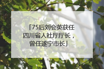 75后刘会英获任四川省人社厅厅长，曾任遂宁市长