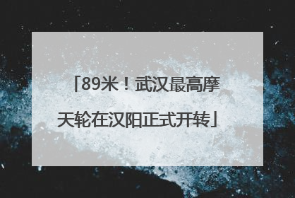 89米！武汉最高摩天轮在汉阳正式开转