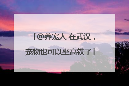 @养宠人 在武汉，宠物也可以坐高铁了