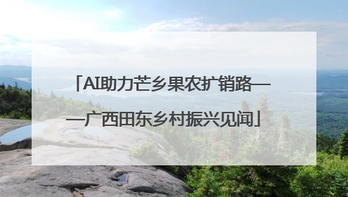 AI助力芒乡果农扩销路——广西田东乡村振兴见闻