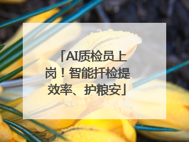 AI质检员上岗！智能扦检提效率、护粮安
