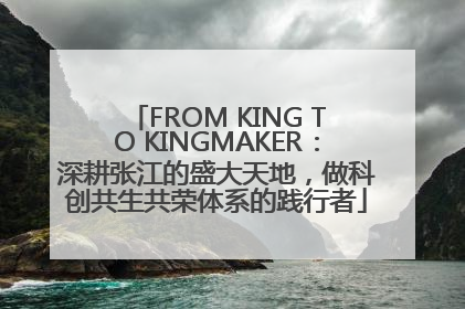 FROM KING TO KINGMAKER：深耕张江的盛大天地，做科创共生共荣体系的践行者