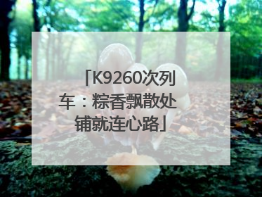 K9260次列车：粽香飘散处 铺就连心路